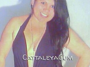 CattaleyaCum