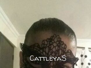 Cattleya_S