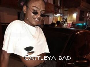 Cattleya_bad