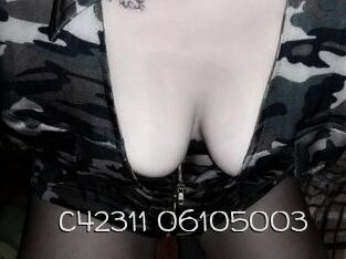 C42311-06105003