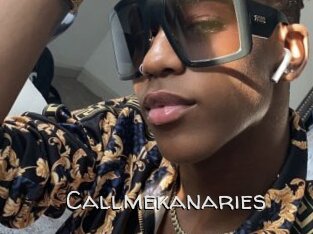 Callmekanaries