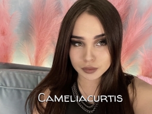 Cameliacurtis