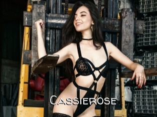 Cassierose