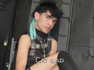 Cat_bad