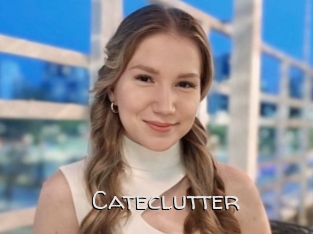 Cateclutter