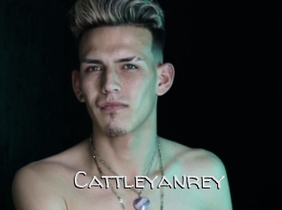 cattleyanrey Adult dvd gold