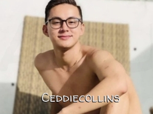Ceddiecollins