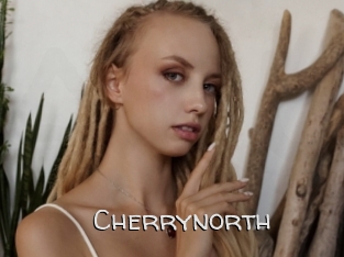 cherrynorth Adult dvd gold
