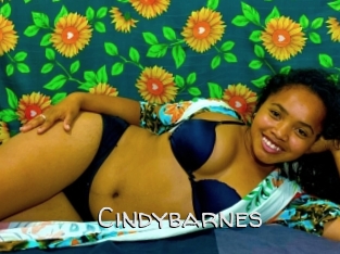 Cindybarnes