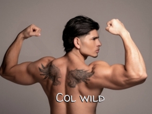 col_wild Adult dvd gold