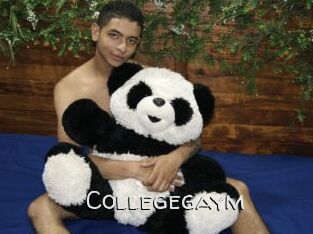Collegegaym