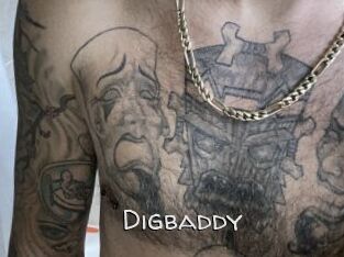 Digbaddy
