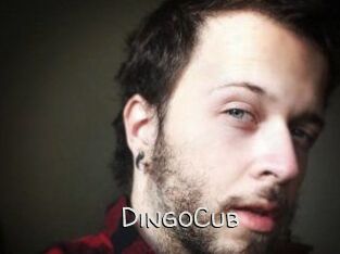 DingoCub