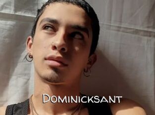 Dominicksant