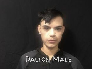 Dalton_Male