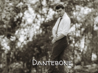 dantebone Adult dvd gold