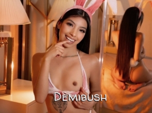 Demibush