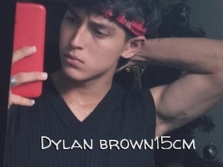 Dylan_brown15cm