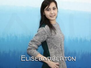 Elisebarberton