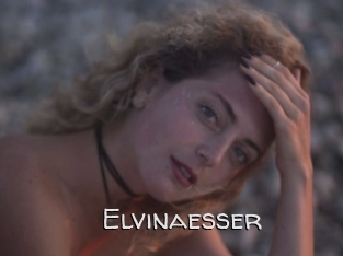 Elvinaesser