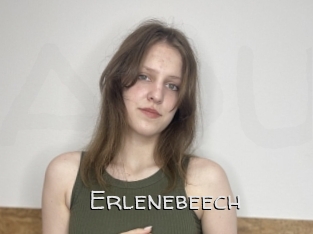 Erlenebeech