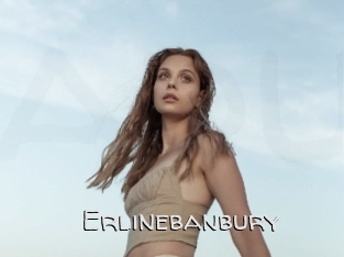 Erlinebanbury