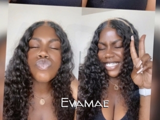 Evamae