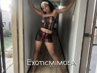 Exoticmimosa
