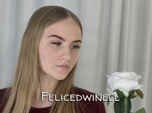 Felicedwinell