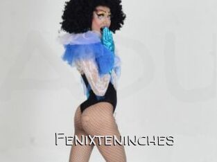 Fenixteninches