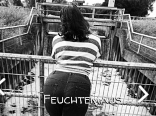 Feuchtemaus