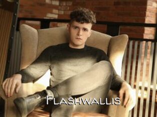 Flashwallis