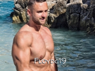 floydc19 Adult dvd gold