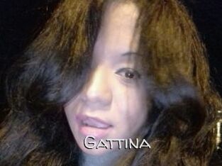 Gattina