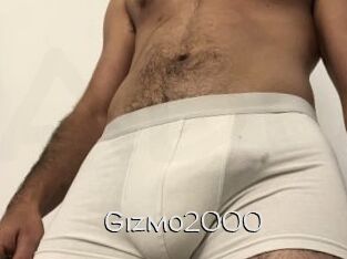 Gizmo2000