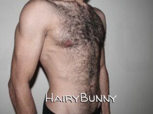 HairyBunny