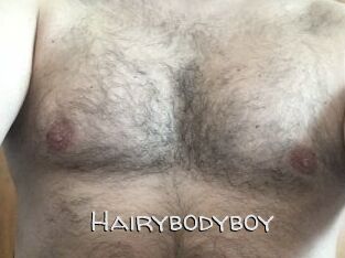 Hairybodyboy