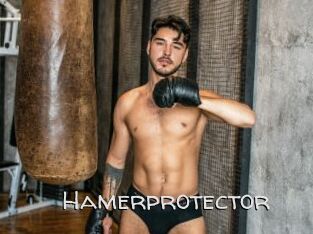 Hamerprotector