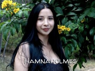 Hamnaholmes