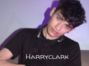 harryclark Adult dvd gold
