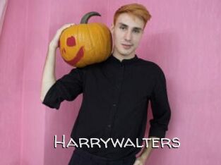 Harrywalters