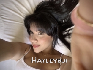 Hayleybui