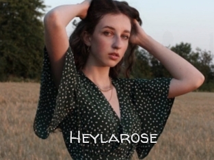 Heylarose