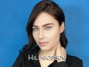 Hildgosson