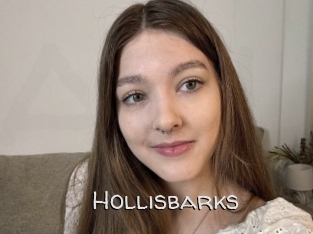 Hollisbarks