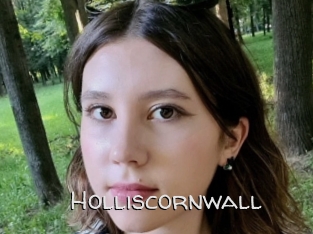 Holliscornwall
