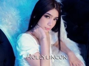 hollylincon Adult dvd gold