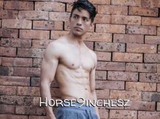 Horse9inchesz