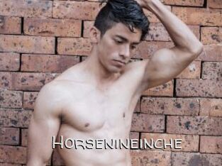 Horsenineinche