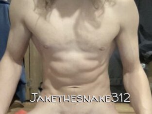 Jakethesnake312